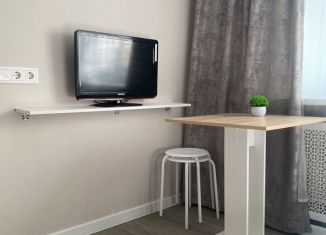 Сдается квартира студия, 18 м2, Республика Башкортостан, улица Мира, 22