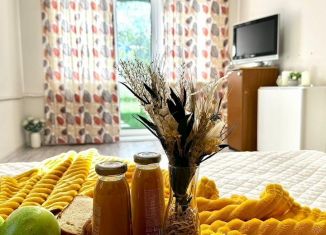 Сдам 1-ком. квартиру, 30.9 м2, Казань, улица Восстания, 1