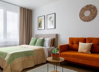 Сдается 1-комнатная квартира, 40 м2, Санкт-Петербург, проспект Энергетиков, 9к6, метро Проспект Большевиков