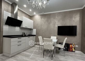 Сдается 1-комнатная квартира, 49 м2, Челябинская область, проспект Героя России Е.Н. Родионова, 13