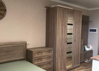 Сдаю квартиру студию, 22.7 м2, Ростов-на-Дону, Днепровский переулок, 117с1