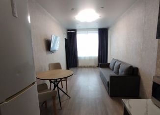 Сдача в аренду однокомнатной квартиры, 40 м2, Тюмень, Краснооктябрьская улица, 8