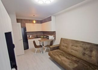 Сдам 1-комнатную квартиру, 33 м2, Нижегородская область, 6-й микрорайон, 34А