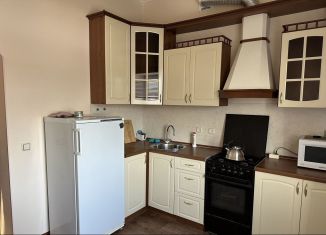 Сдается 1-комнатная квартира, 45 м2, Рязанская область, проезд Грибоедова, 16А