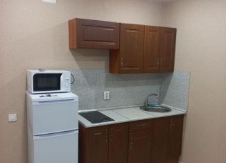 Сдача в аренду квартиры студии, 20 м2, Тюмень, улица Голышева, 24А