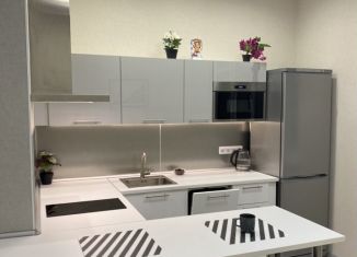 1-ком. квартира в аренду, 60 м2, Новосибирская область, улица Гоголя, 40/1