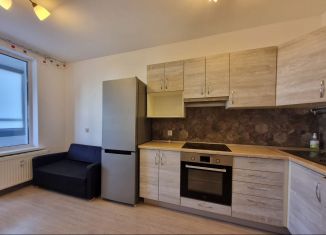 Сдаю однокомнатную квартиру, 42.3 м2, Санкт-Петербург, улица Тамбасова, Красносельский район