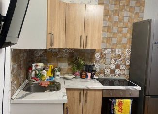 1-комнатная квартира в аренду, 43 м2, Тюмень, Широтная улица, 170, Восточный округ