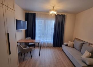 Сдается в аренду квартира студия, 22 м2, Санкт-Петербург, Тосина улица, 1к2