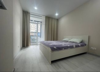 Сдается в аренду 1-ком. квартира, 45 м2, Екатеринбург, улица Краснолесья, 96