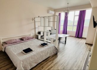 Сдается 1-ком. квартира, 45 м2, Алушта, улица 60 лет СССР