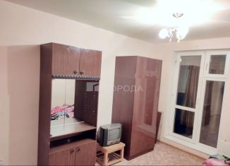 Сдаю в аренду квартиру студию, 20 м2, Новосибирск, Берёзовая улица, 19, метро Речной вокзал