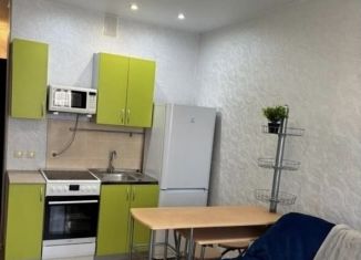 Сдается в аренду квартира студия, 20 м2, Новосибирская область, Берёзовая улица, 19