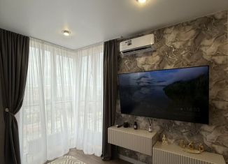 Сдаю однокомнатную квартиру, 43 м2, Краснодар, улица Ивана Беличенко, 95