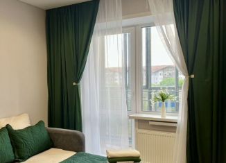 Аренда квартиры студии, 30 м2, Обь, Октябрьская улица, 5