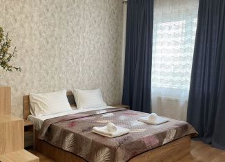 Сдам в аренду 1-ком. квартиру, 60 м2, Ростов-на-Дону, проспект Королёва, 16А