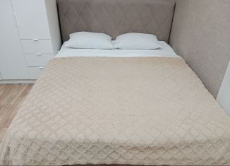 Сдаю однокомнатную квартиру, 32 м2, Челябинская область, улица Сони Кривой, 61