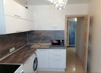 Сдача в аренду 1-ком. квартиры, 42 м2, Пермь, Пушкарская улица, 98