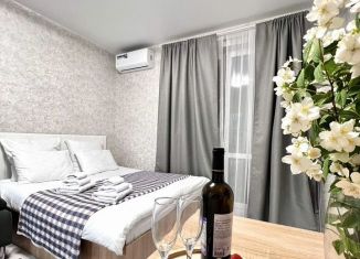 Сдается в аренду квартира студия, 22.8 м2, Сочи, улица Искры, 88к1