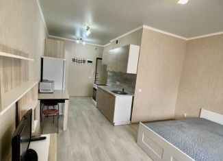 Продажа квартиры студии, 29 м2, Ростов-на-Дону, проспект Маршала Жукова, 36/5