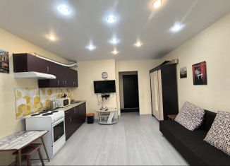 Продам квартиру студию, 24.4 м2, посёлок Шушары, ЖК Добрыня, территория Ленсоветовский, 23