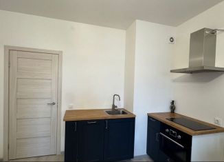 Продам квартиру студию, 24.4 м2, Санкт-Петербург, Кузнецовская улица, 58к1