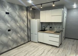 Продажа квартиры студии, 24 м2, Ульяновск, улица Рябикова, 68