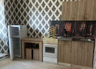 Продается квартира студия, 24 м2, Новосибирск, улица Романтиков, 8/1