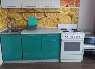 Аренда 1-комнатной квартиры, 28 м2, Челябинская область, улица Петра Столыпина, 11