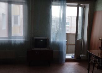 Сдача в аренду квартиры студии, 25 м2, Бийск, Ленинградская улица, 59