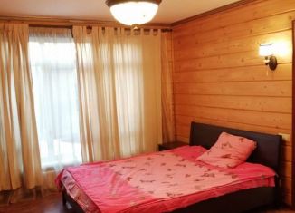 Сдается комната, 70 м2, деревня Дудкино