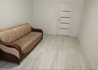 Сдача в аренду 1-комнатной квартиры, 41 м2, Самара, улица Георгия Димитрова