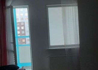 Сдача в аренду квартиры студии, 25 м2, Санкт-Петербург, Комендантский проспект, муниципальный округ Коломяги