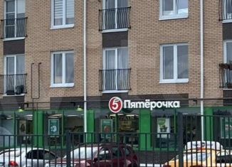 Однокомнатная квартира на продажу, 35.2 м2, деревня Зверево, улица Генерала Донскова, 29к2