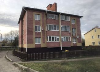 Продаю двухкомнатную квартиру, 50 м2, посёлок городского типа Торбеево, 2-й микрорайон, 16А