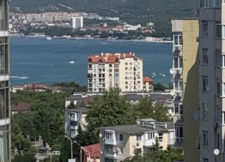 Сдам в аренду 2-комнатную квартиру, 80 м2, Геленджик, улица Грибоедова, 62