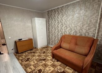 Квартира в аренду студия, 25 м2, Саранск, улица Фурманова, 32