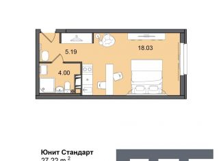 Квартира на продажу студия, 27.2 м2, Санкт-Петербург, Витебский проспект, 99к1, муниципальный округ Гагаринское
