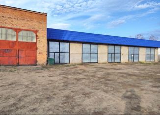 Продам помещение свободного назначения, 700 м2, Камбарка, Школьный переулок, 12А