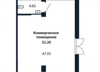 Помещение свободного назначения на продажу, 52.2 м2, городской посёлок Новоселье, Красносельское шоссе, 9