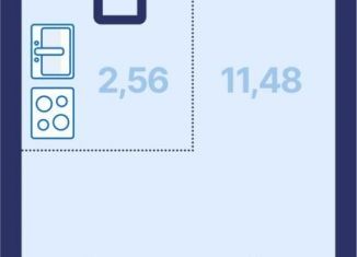 Продается квартира студия, 23.1 м2, Екатеринбург, проспект Космонавтов, 9, Железнодорожный район