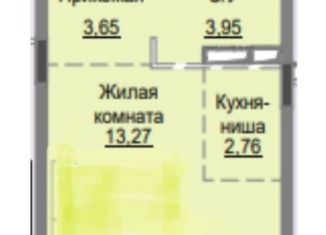 Продается квартира студия, 23.6 м2, село Николо-Урюпино, улица Сергея Жадобкина, 1