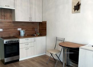 Квартира в аренду студия, 19.8 м2, Люберцы, улица Лётчика Ларюшина