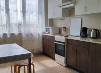 Сдается однокомнатная квартира, 43 м2, Санкт-Петербург, улица Шкапина, 9-11, ЖК Панорама 360