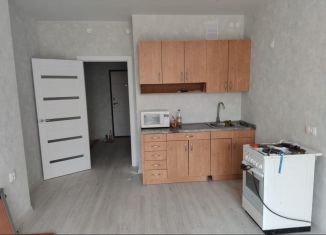 Продам квартиру студию, 30 м2, Пермь, улица Лукоянова, 28А