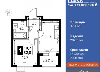 Продается однокомнатная квартира, 32.8 м2, деревня Румянцево, СНТ Гипрохим, 1Ас1