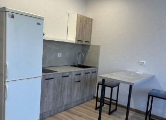 Сдается квартира студия, 30 м2, Новосибирск, Выборная улица, 133