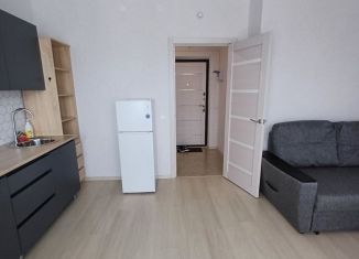 Продается квартира студия, 25.8 м2, поселок городского типа Стройкерамика, улица Анетты Басс, 4с1