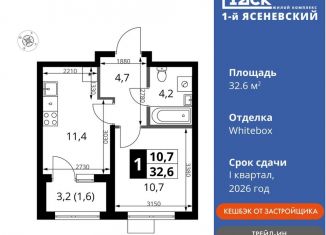 1-ком. квартира на продажу, 32.6 м2, деревня Румянцево, СНТ Гипрохим, 1Ас1