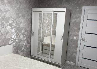 Сдается двухкомнатная квартира, 51.7 м2, поселок городского типа Стройкерамика, улица Анетты Басс, 2с4